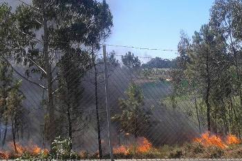 13 hectares destruídos e dois bombeiros feridos em Balazar