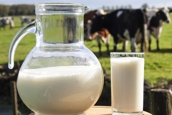 Produtores de leite já podem pedir ajuda financeira