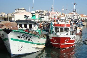 Pescadores cancelam manifestação e vão ouvir governante