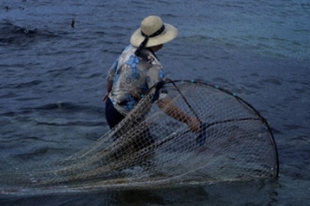 Em Vila Chã ainda existe uma pescadeira no ativo