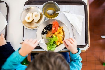 Pratos vegetarianos nas escolas elogiados por vereadora do PS